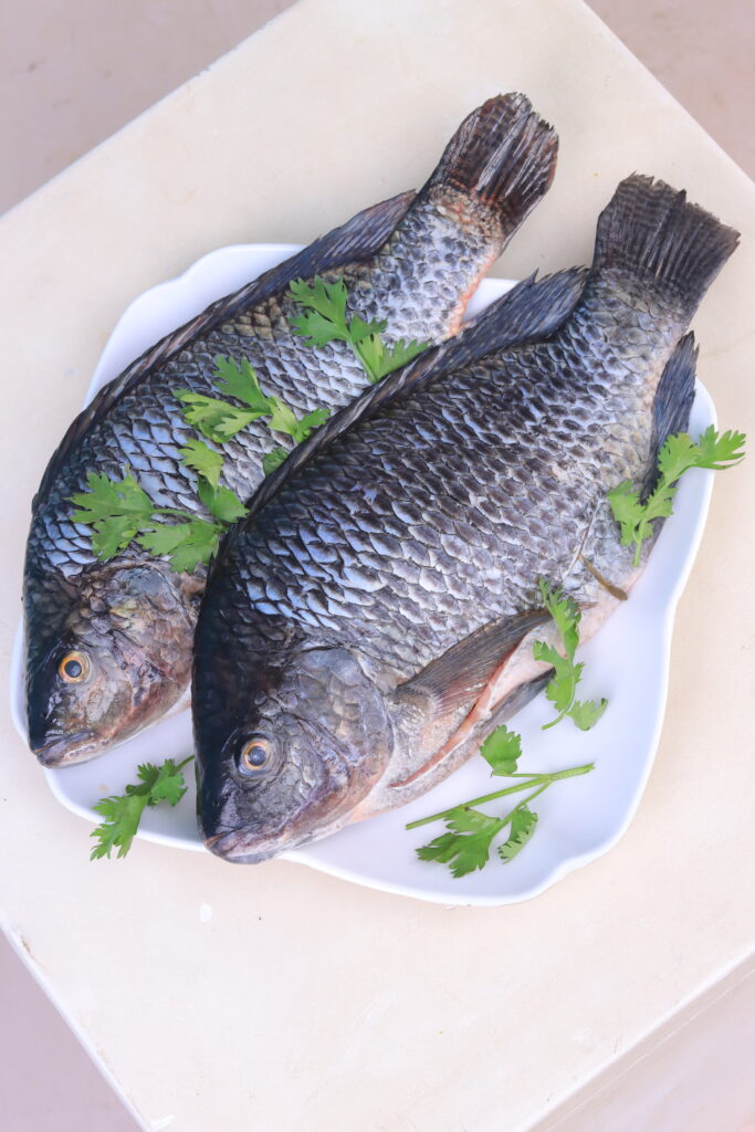 1kg & Above